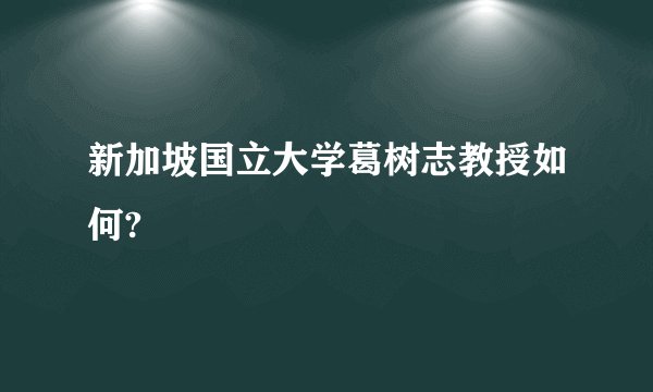 新加坡国立大学葛树志教授如何?