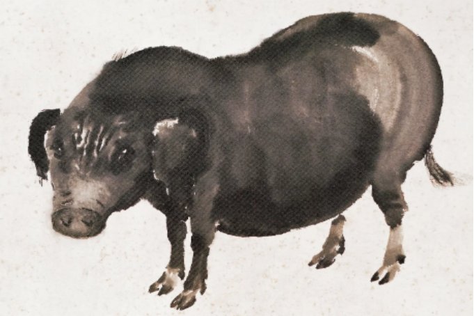 十二生肖排序图片