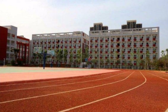 郑州外国语有哪些分校？