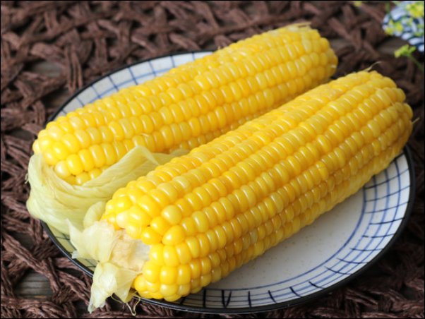 玉米价格创历史新高，今年的玉米价格为什么那么高？