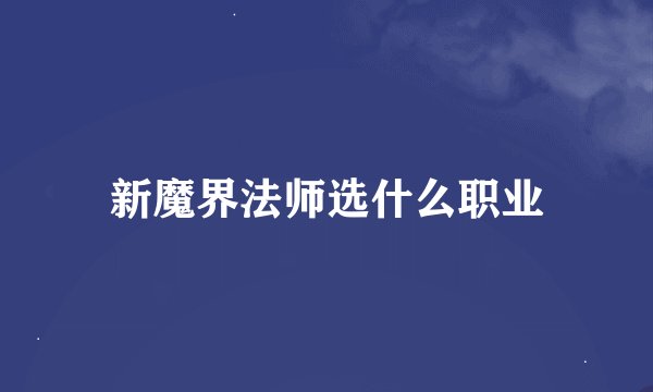 新魔界法师选什么职业