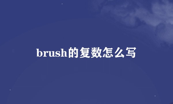 brush的复数怎么写