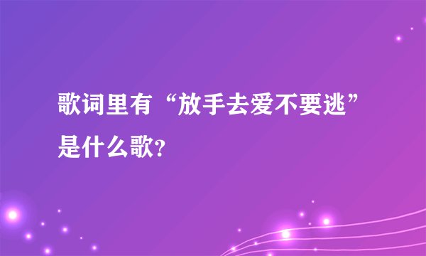 歌词里有“放手去爱不要逃”是什么歌？