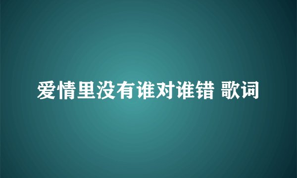 爱情里没有谁对谁错 歌词