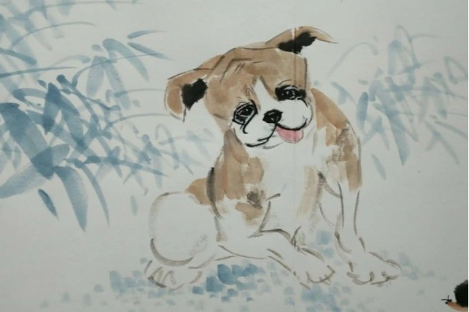 十二生肖排序图片