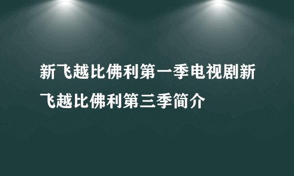 新飞越比佛利第一季电视剧新飞越比佛利第三季简介