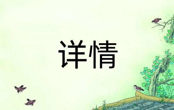 详情是什么意思