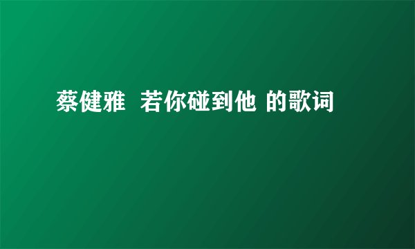 蔡健雅  若你碰到他 的歌词