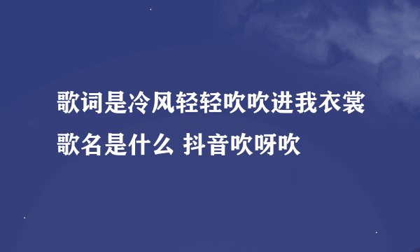 歌词是冷风轻轻吹吹进我衣裳歌名是什么 抖音吹呀吹