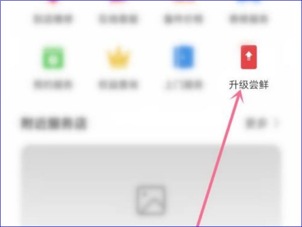 荣耀如何升级鸿蒙系统