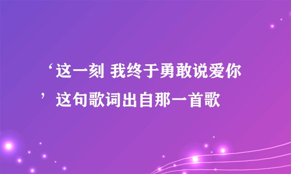 ‘这一刻 我终于勇敢说爱你’这句歌词出自那一首歌