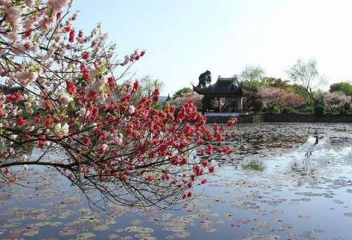 千里莺啼绿映红,水村山郭酒旗风。是什么意思啊????????