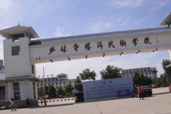 少林寺学武术去哪个学校