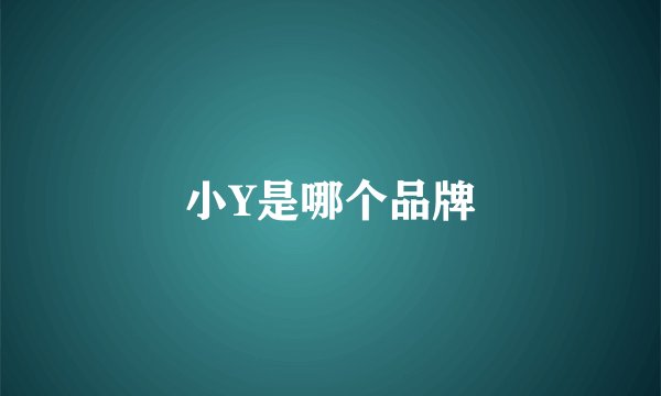 小Y是哪个品牌