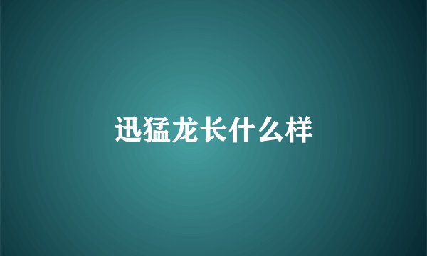 迅猛龙长什么样