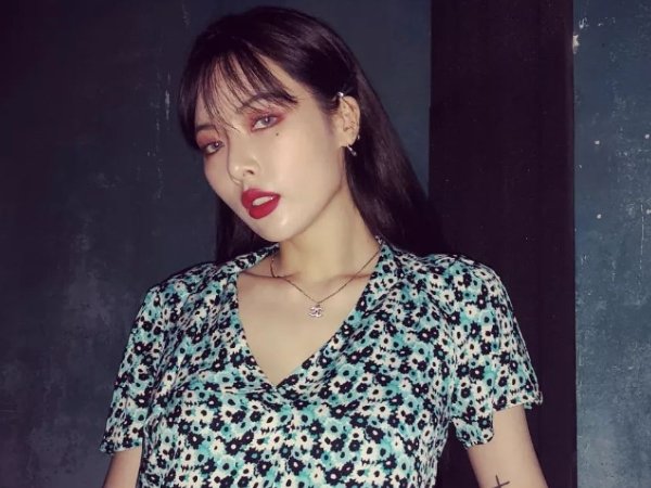 金泫雅参加的综艺节目