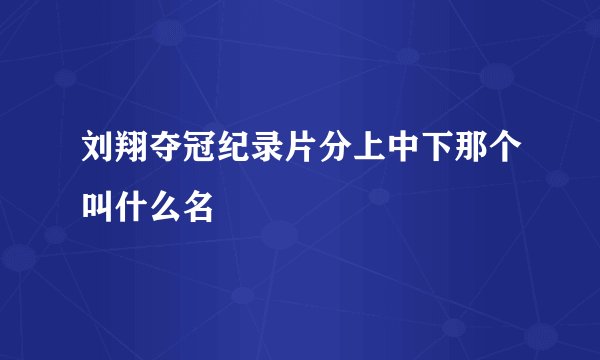 刘翔夺冠纪录片分上中下那个叫什么名