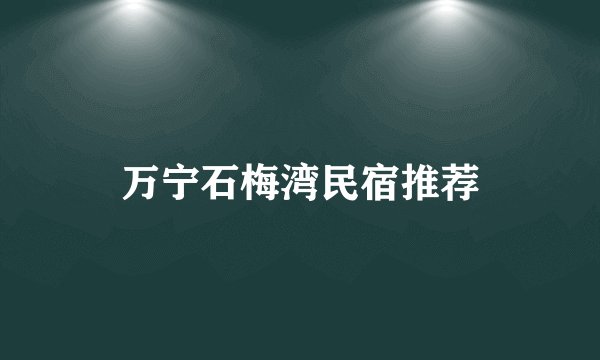 万宁石梅湾民宿推荐