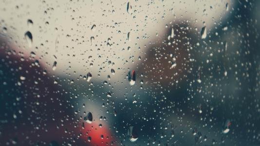 用____先___，后来___。造句（一年级)