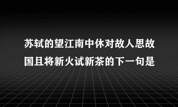 苏轼的望江南中休对故人思故国且将新火试新茶的下一句是