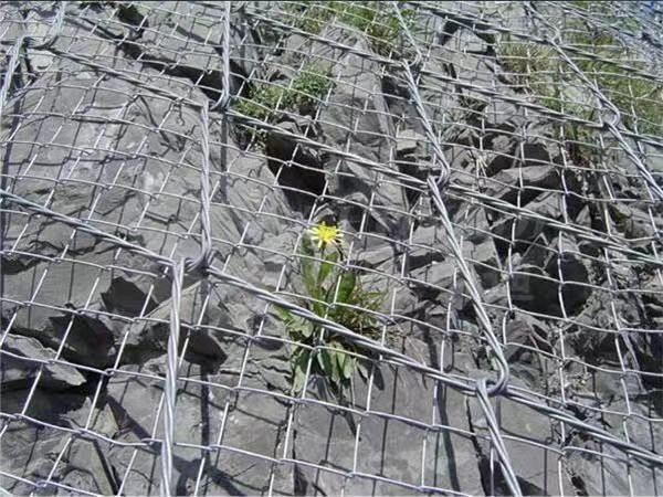 主动防护网多少钱1平米？