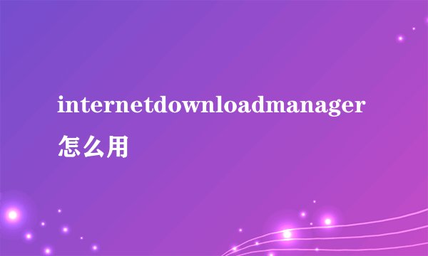 internetdownloadmanager怎么用