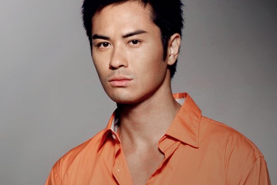 郑嘉颖主演的电视剧有哪些