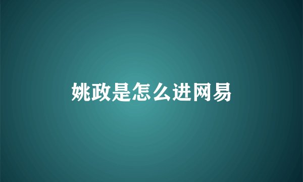 姚政是怎么进网易