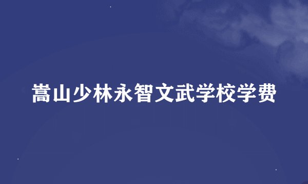 嵩山少林永智文武学校学费