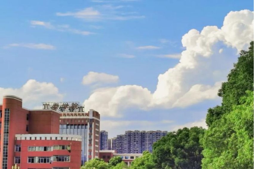 江西宜春学院的教务处网址是多少？