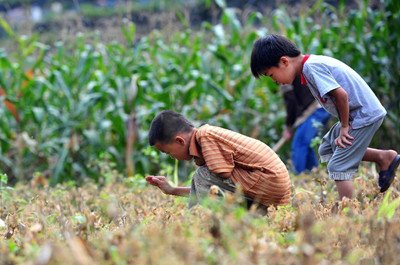 儿子被拐两个月的时候，27岁郭刚堂白了头，这体现了什么？