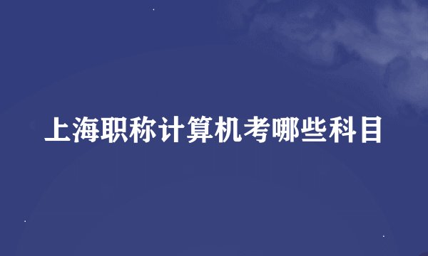 上海职称计算机考哪些科目