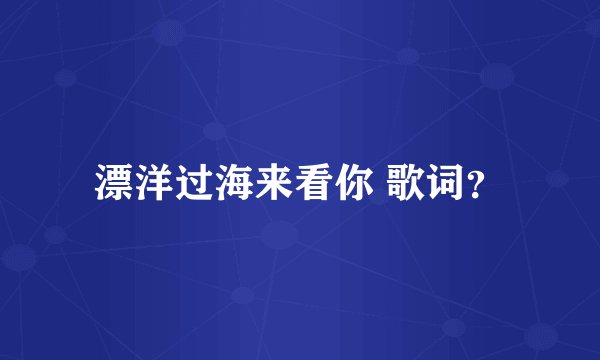 漂洋过海来看你 歌词？