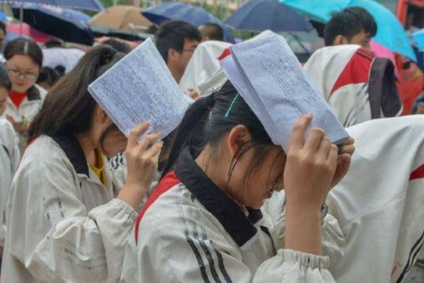 河南高考招生办电话