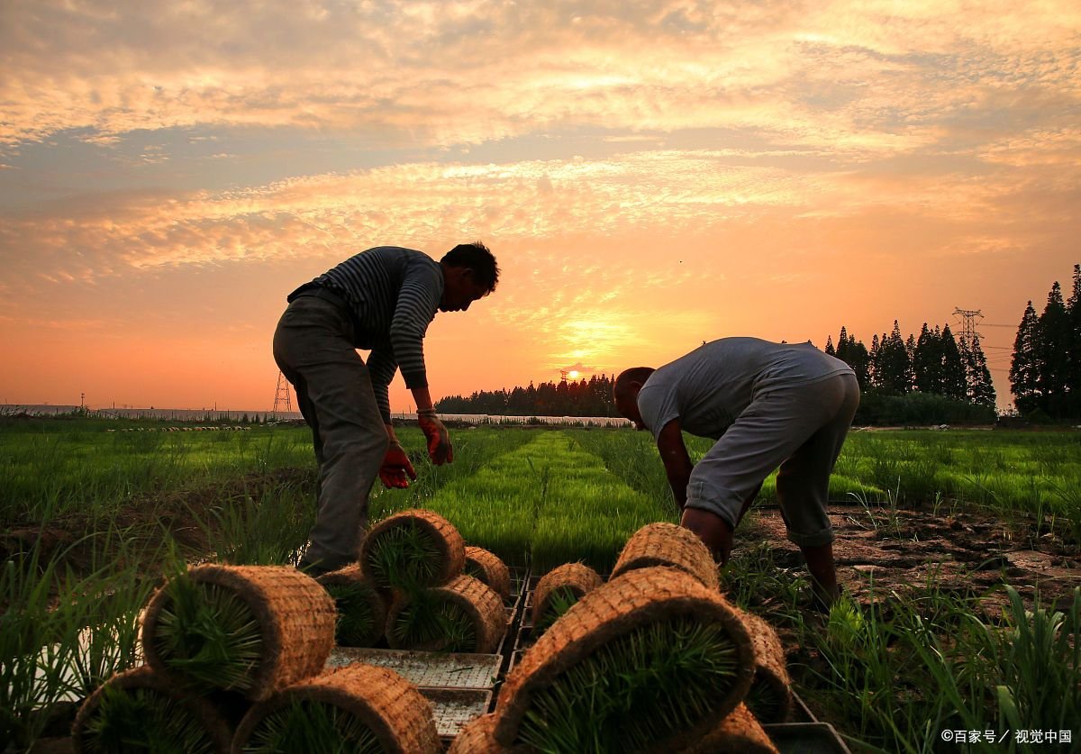 忙内是什么意思