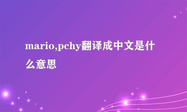mario,pchy翻译成中文是什么意思