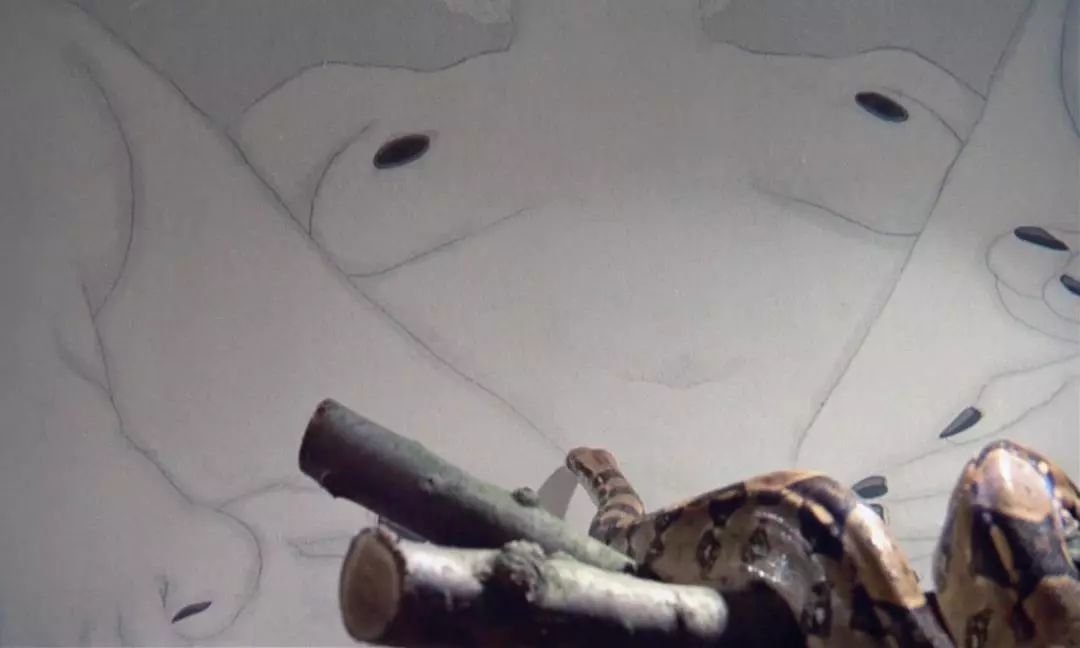 《发条橙》为什么可以成为库布里克经典的代表作?