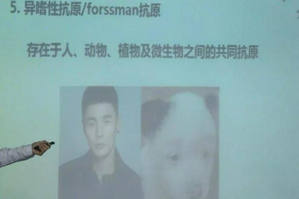 李荣浩说没想到自己会对生物界有所贡献，说说这是一个什么梗？