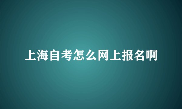 上海自考怎么网上报名啊