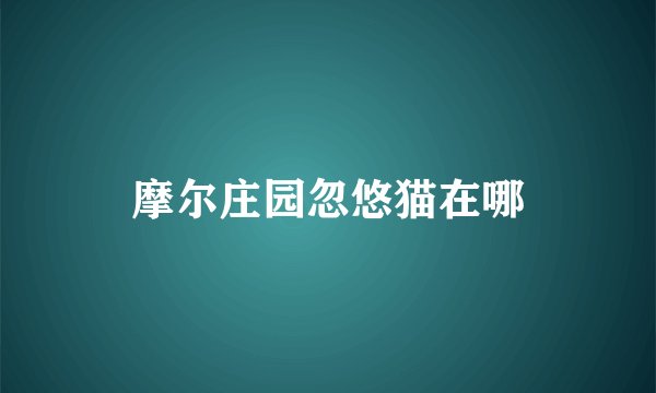 摩尔庄园忽悠猫在哪