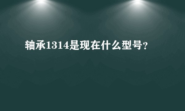 轴承1314是现在什么型号？