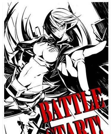 车姬的作品简介