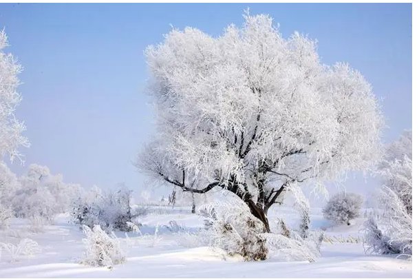 吉吉是什么意思