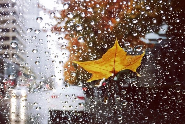 形容雨下不停的句子