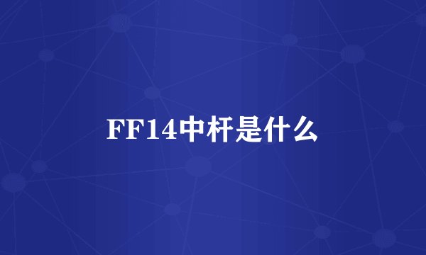 FF14中杆是什么