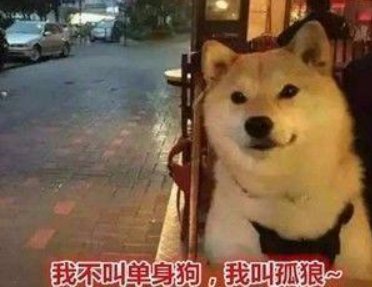 单身狗的英文是什么？