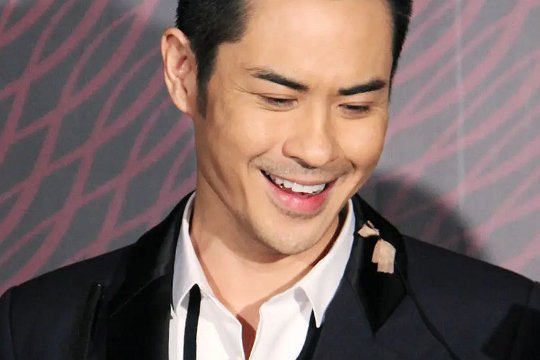 郑嘉颖主演的电视剧有哪些