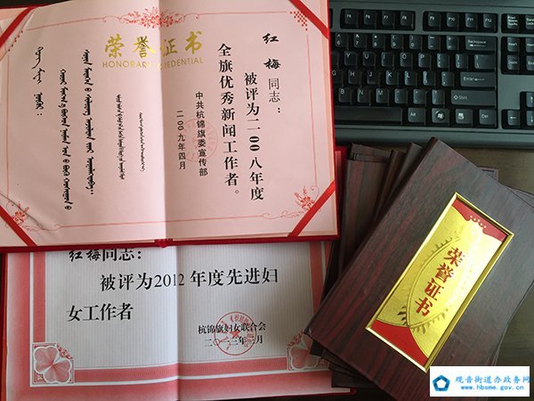 上校的替身新娘的内容简介