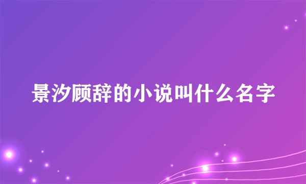 景汐顾辞的小说叫什么名字