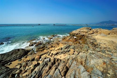 礁石的现代诗原文